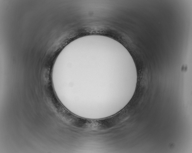 X0000112850695200909111446