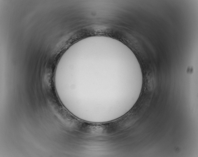 X0000112850698200909111446