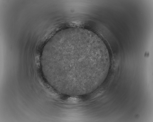 X0000112850699200909111446