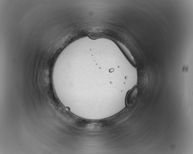 X0000112850700200909111446