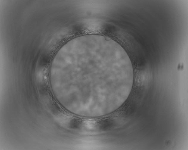 X0000112850701200909111446