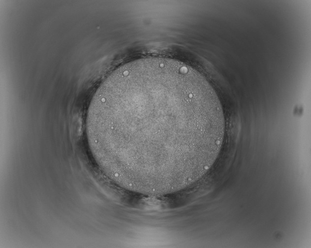 X0000112850703200909111446