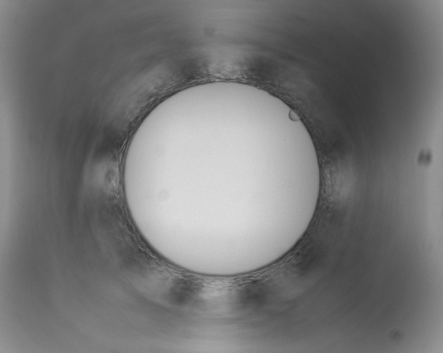 X0000112850705200909111446