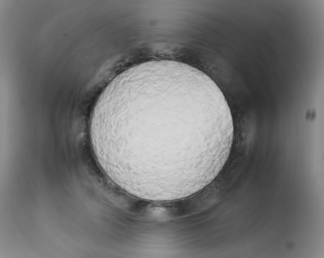 X0000112850706200909111446