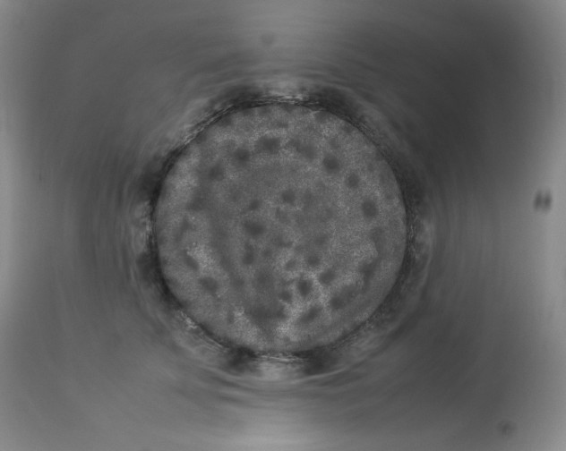 X0000112850707200909111446