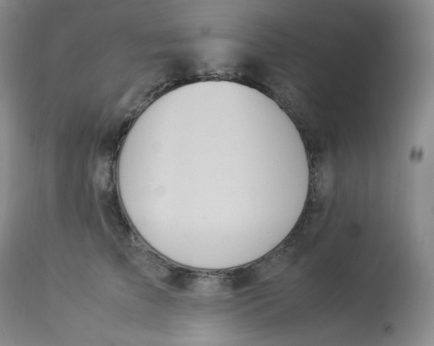 X0000112850709200909111446