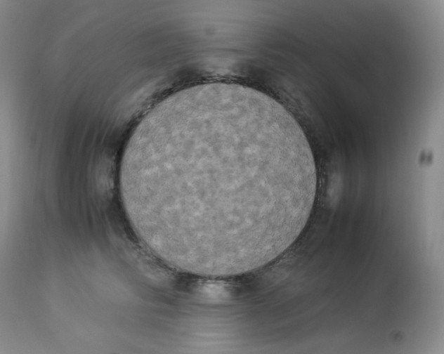 X0000112850710200909111446