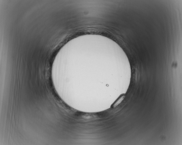 X0000112850712200909111446