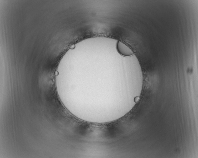 X0000112850713200909111446