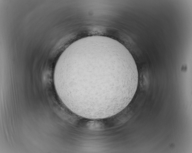 X0000112850714200909111446