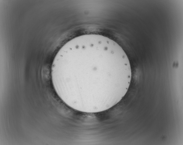 X0000112850715200909111446