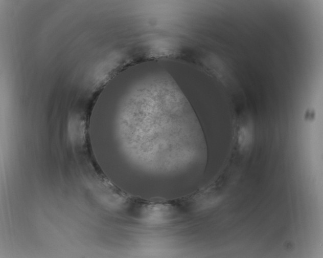 X0000112850716200909111446