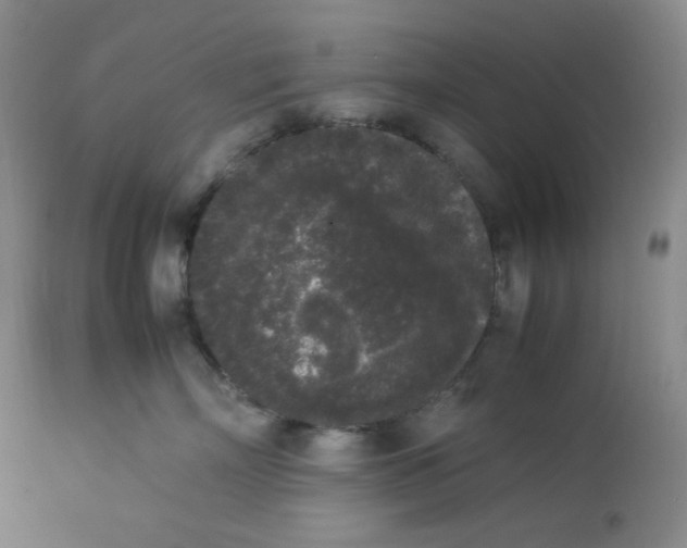 X0000112850718200909111445