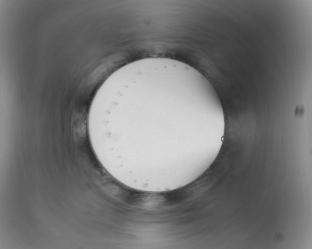 X0000112850719200909111445