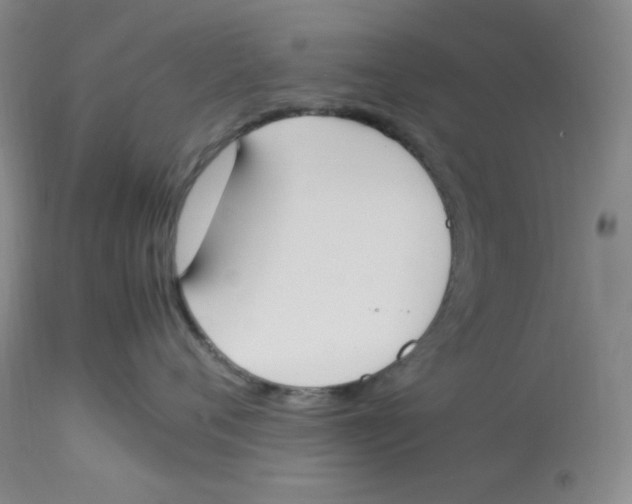 X0000112850720200909111445