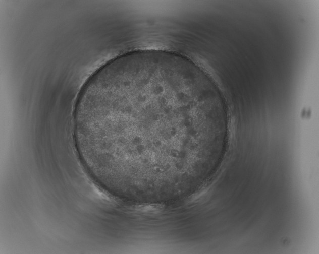 X0000112850721200909111445