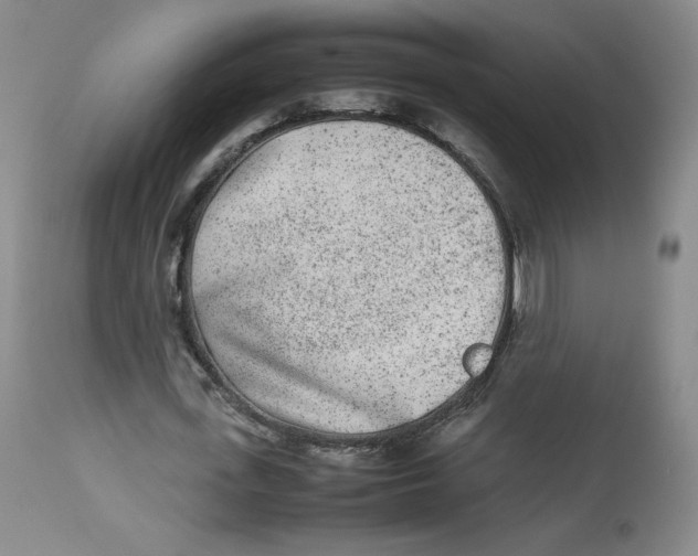 X0000112850723200909111445