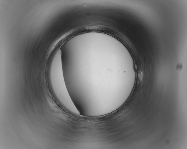 X0000112850724200909111445