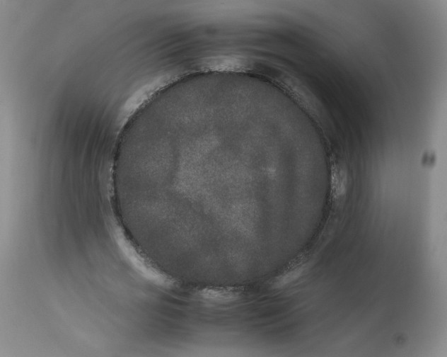 X0000112850725200909111445