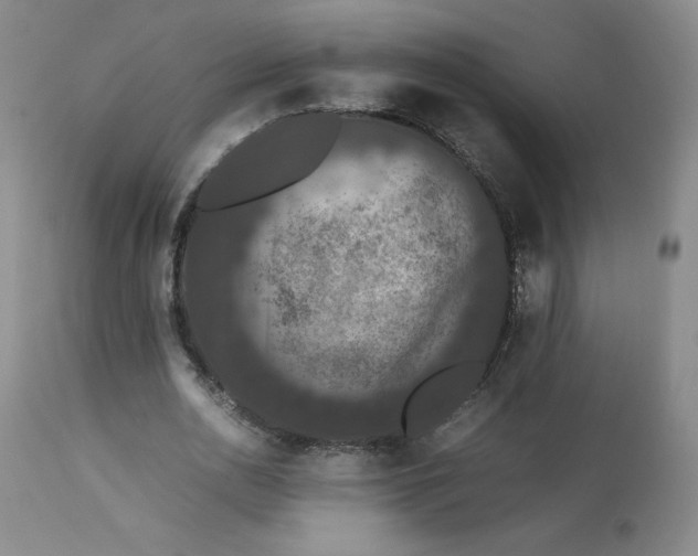 X0000112850726200909111445