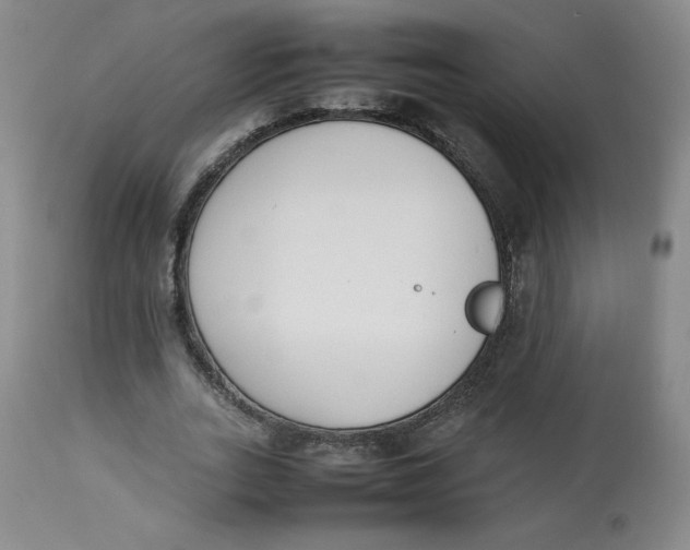 X0000112850727200909111445