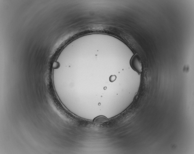 X0000112850728200909111445