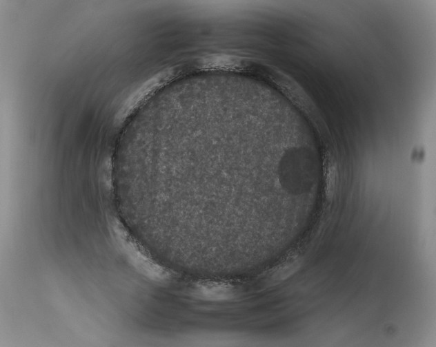 X0000112850729200909111445