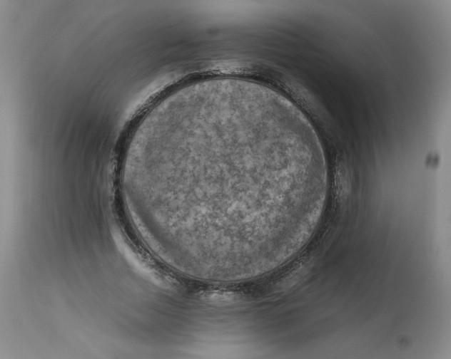 X0000112850730200909111445