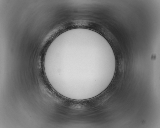 X0000112850731200909111445