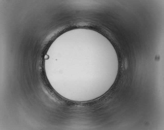 X0000112850732200909111445