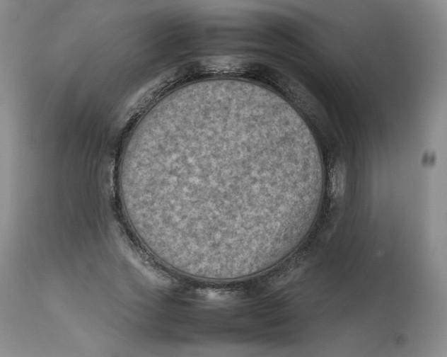 X0000112850733200909111445