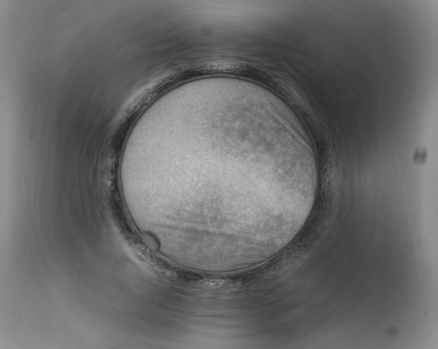 X0000112850736200909111445