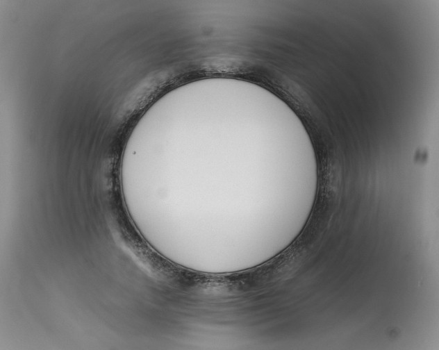 X0000112850738200909111445