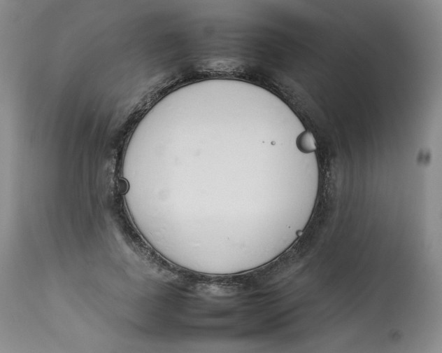 X0000112850739200909111445