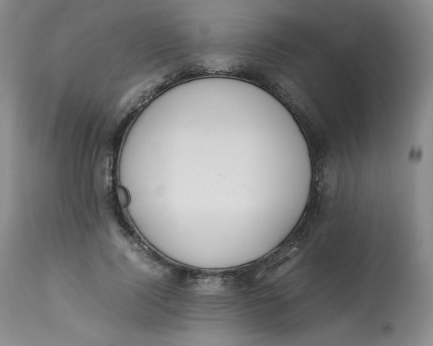 X0000112850740200909111445