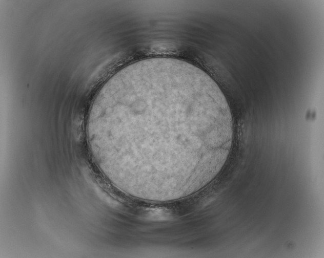 X0000112850741200909111445