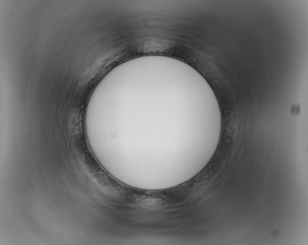 X0000112850743200909111445