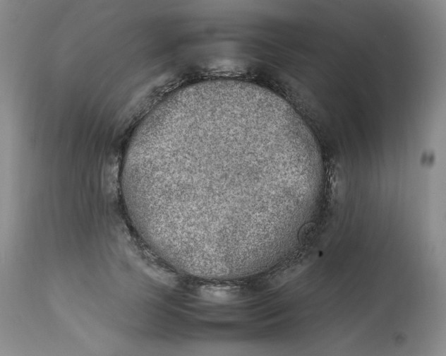 X0000112850745200909111445