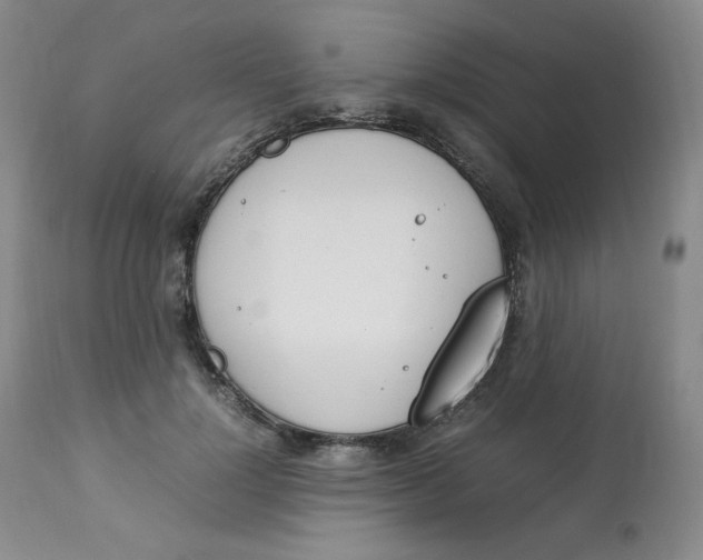 X0000112850748200909111445