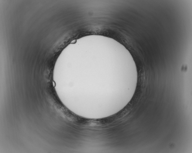 X0000112850750200909111445