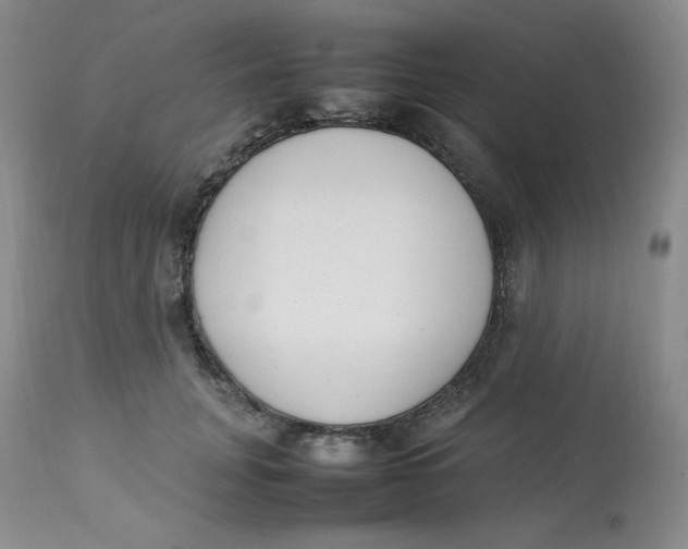 X0000112850751200909111445