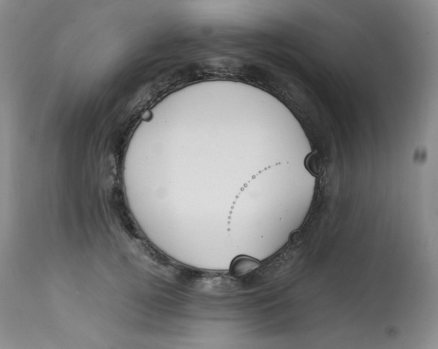 X0000112850752200909111445