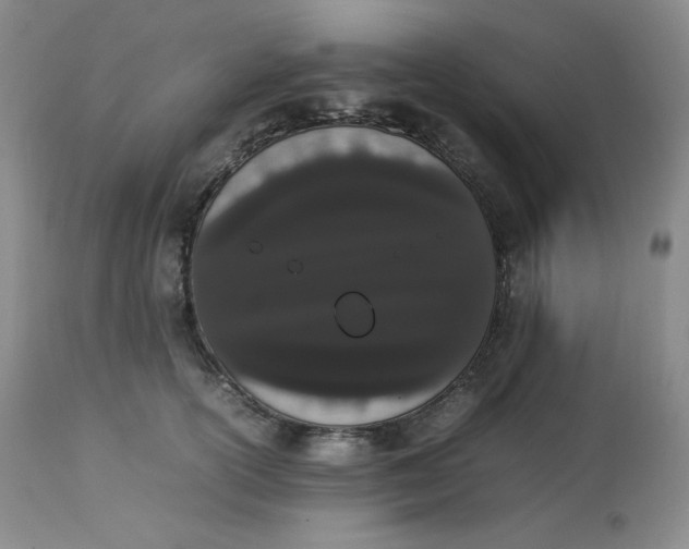 X0000112850754200909111445