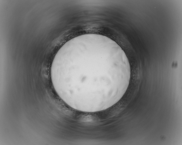 X0000112850755200909111445