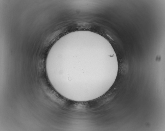 X0000112850756200909111445