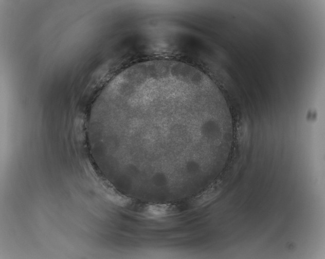 X0000112850757200909111445