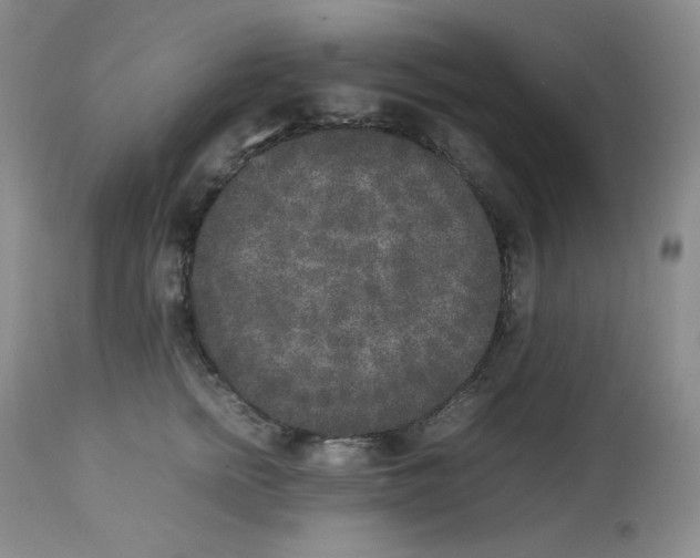 X0000112850758200909111445