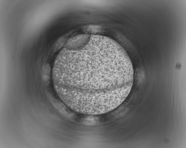 X0000112850760200909111445