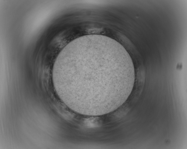 X0000112850761200909111445