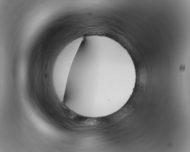 X0000112850764200909111445